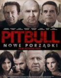 Pitbull - New orders / Питбул - Нов ред