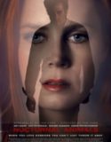 Nocturnal Animals / Хищници в мрака