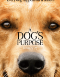 A Dog`s Purpose / Кучешки живот