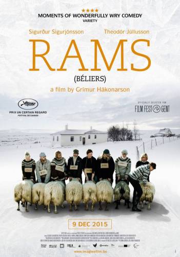 Rams / Овни